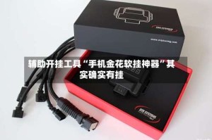 辅助开挂工具“手机金花软挂神器”其实确实有挂