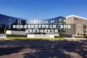 本科生进京东方工作怎么样／本科生进京东方待遇怎么样