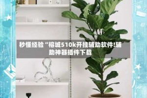 秒懂经验“榕城510k开挂辅助软件!辅助神器插件下载