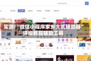 实测!“微信小程序家乡大贰辅助器”详细教程辅助工具