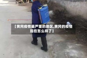 【黄冈疫情最严重的地区,黄冈的疫情现在怎么样了】