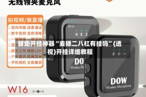 辅助开挂神器“麦穗二八杠有挂吗”(透视)开挂详细教程