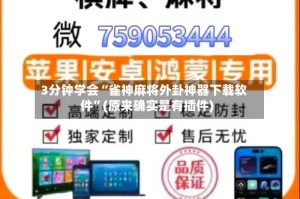 3分钟学会“雀神麻将外卦神器下载软件”(原来确实是有插件)