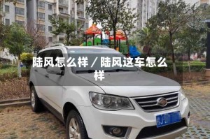 陆风怎么样／陆风这车怎么样