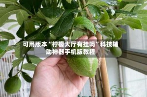 可用版本“柠檬大厅有挂吗”科技辅助神器手机版教程
