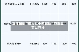 真实辅助“懒人斗十四辅助”原来真可以开挂