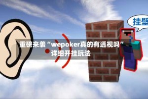 重磅来袭“wepoker真的有透视吗”详细开挂玩法