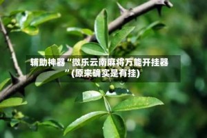 辅助神器“微乐云南麻将万能开挂器”(原来确实是有挂)