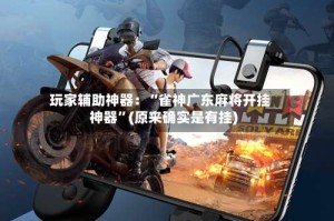 玩家辅助神器：“雀神广东麻将开挂神器”(原来确实是有挂)