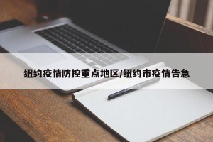 纽约疫情防控重点地区/纽约市疫情告急