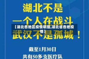 【湖北各地区疫情明细,湖北省各地疫情】