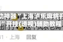 玩家辅助神器“上海泸乐麻将开挂神器”开挂(透视)辅助教程