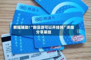 教程辅助!“新漫游可以开挂吗”详细分享装挂