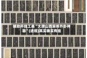 辅助开挂工具“大唐山西麻将外卦神器”(透视)其实确实有挂