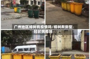 广州地区樟树有疫情吗/樟树有新型冠状病毒吗