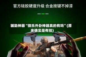 辅助神器“微乐外卦神器真的有吗”(原来确实是有挂)