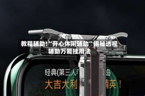 教程辅助!“开心休闲辅助”揭秘透视辅助万能挂用法