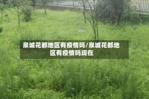 泉城花都地区有疫情吗/泉城花都地区有疫情吗现在