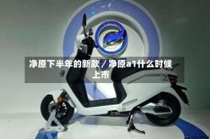 净原下半年的新款／净原a1什么时候上市