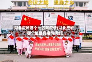 湖北应城哪个地区有疫情(湖北应城哪个地区有疫情病例)