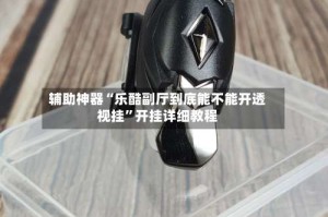 辅助神器“乐酷副厅到底能不能开透视挂”开挂详细教程