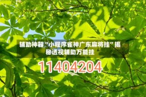 辅助神器“小程序雀神广东麻将挂”揭秘透视辅助万能挂