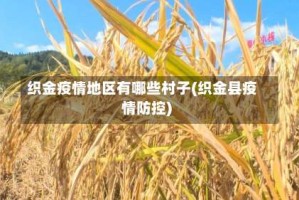 织金疫情地区有哪些村子(织金县疫情防控)