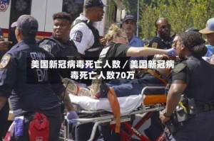 美国新冠病毒死亡人数／美国新冠病毒死亡人数70万