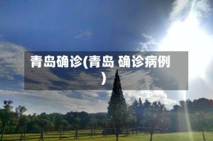 青岛确诊(青岛 确诊病例)
