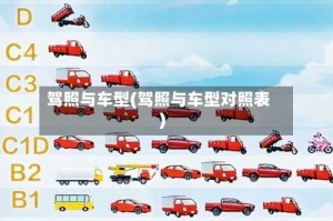 驾照与车型(驾照与车型对照表)