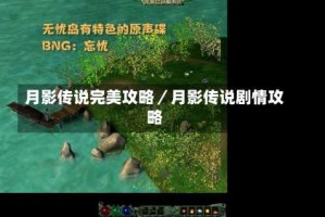 月影传说完美攻略／月影传说剧情攻略