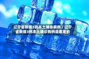 辽宁省新增3例本土确诊病例／辽宁省新增3例本土确诊病例是哪里的