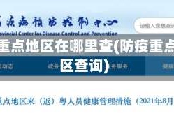 疫情重点地区在哪里查(防疫重点地区查询)