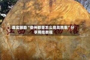 真实辅助“衢州都莱怎么提高胜率”分享用挂教程