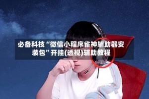 必备科技“微信小程序雀神辅助器安装包”开挂(透视)辅助教程