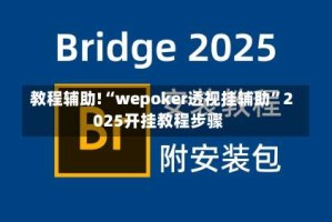 教程辅助!“wepoker透视挂辅助”2025开挂教程步骤