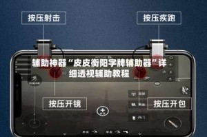辅助神器“皮皮衡阳字牌辅助器”详细透视辅助教程