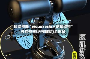 辅助神器“wepoker私人局辅助挂”开挂神器{透视辅助}全揭秘