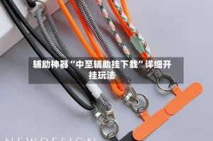 辅助神器“中至辅助挂下载”详细开挂玩法