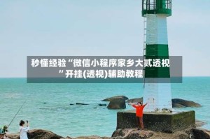 秒懂经验“微信小程序家乡大贰透视”开挂(透视)辅助教程