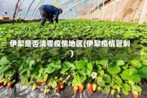 伊犁是否清零疫情地区(伊犁疫情管制)