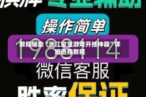 教程辅助“浙江宝宝游戏开挂神器”详细透视教程