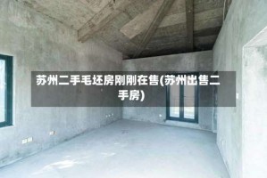 苏州二手毛坯房刚刚在售(苏州出售二手房)