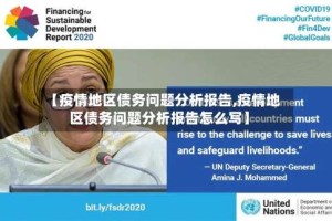 【疫情地区债务问题分析报告,疫情地区债务问题分析报告怎么写】