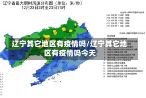 辽宁其它地区有疫情吗/辽宁其它地区有疫情吗今天