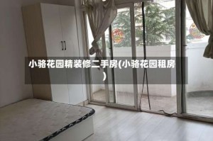 小骆花园精装修二手房(小骆花园租房)