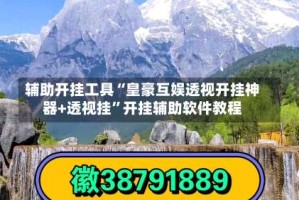 辅助开挂工具“皇豪互娱透视开挂神器+透视挂”开挂辅助软件教程