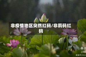 非疫情地区突然红码/非羁码红码
