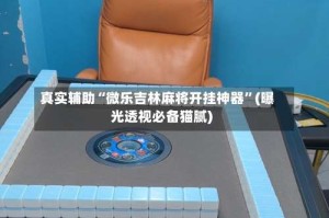 真实辅助“微乐吉林麻将开挂神器”(曝光透视必备猫腻)