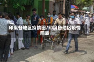 印度各地区疫情图/印度各地区疫情图表